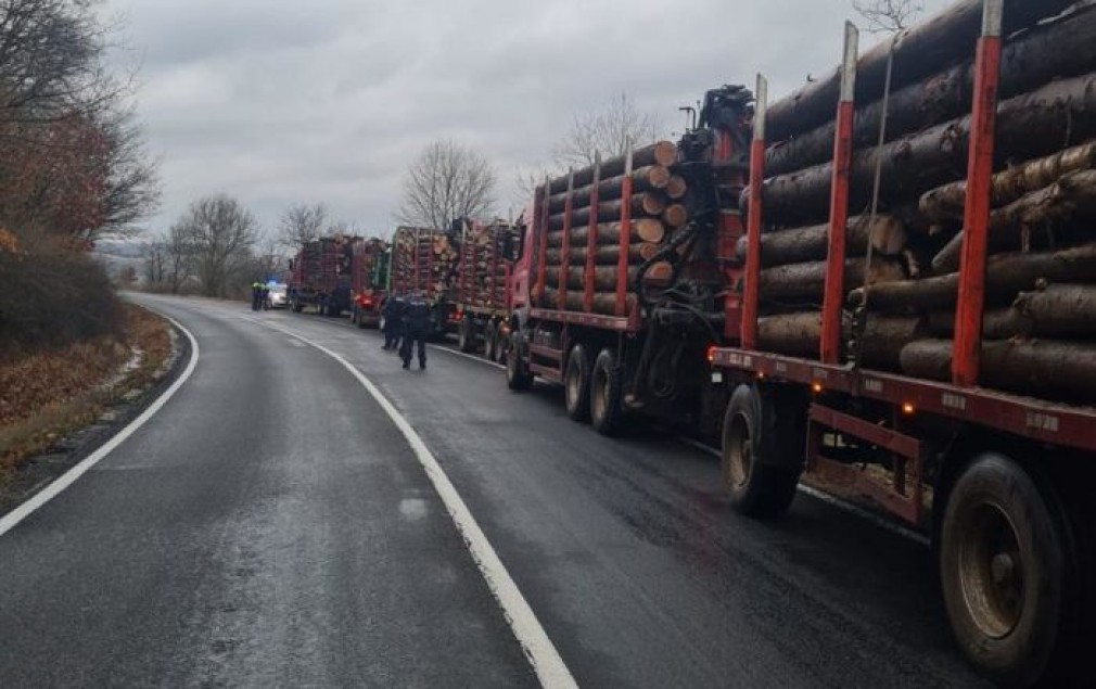 VIDEO Camioane cu lemne oprite în trafic de polițiști. S-au dat amenzi