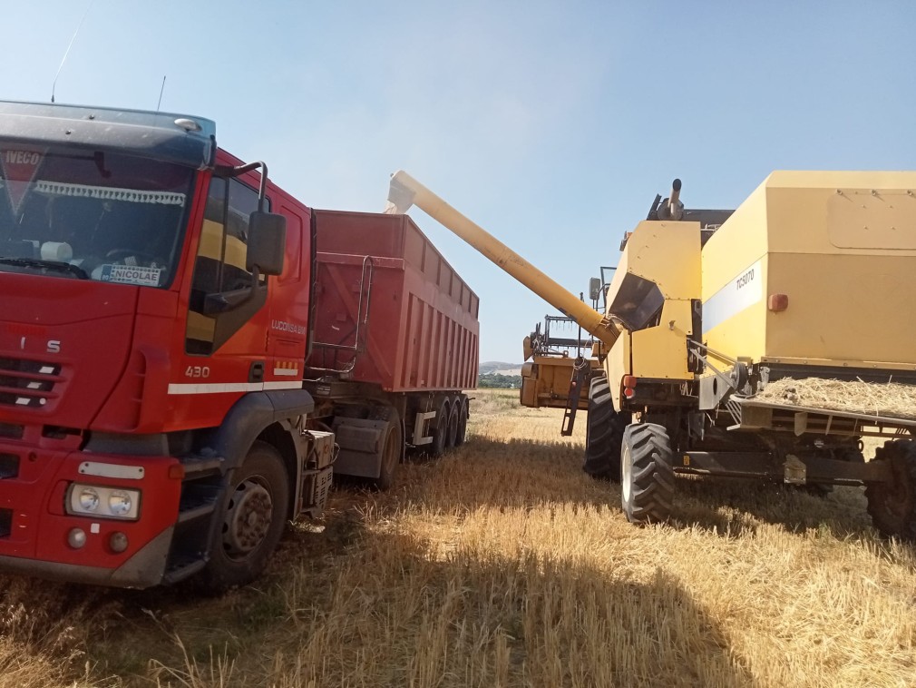 Autoritatea Vamală: Nu am adus grâu din Ucraina în ultimele 6 luni