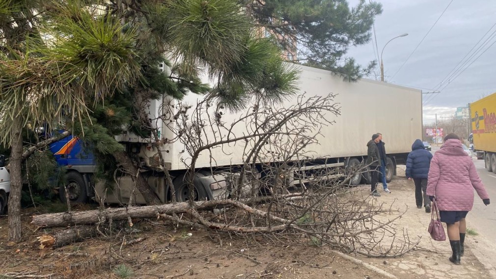 VIDEO Un camion a pierdut controlul și a intrat în pomi