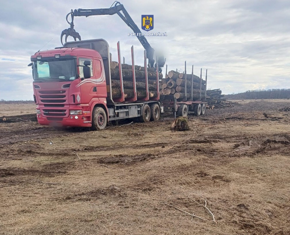 10.000 lei amendă pentru șoferul unui camion care transporta ilegal lemn