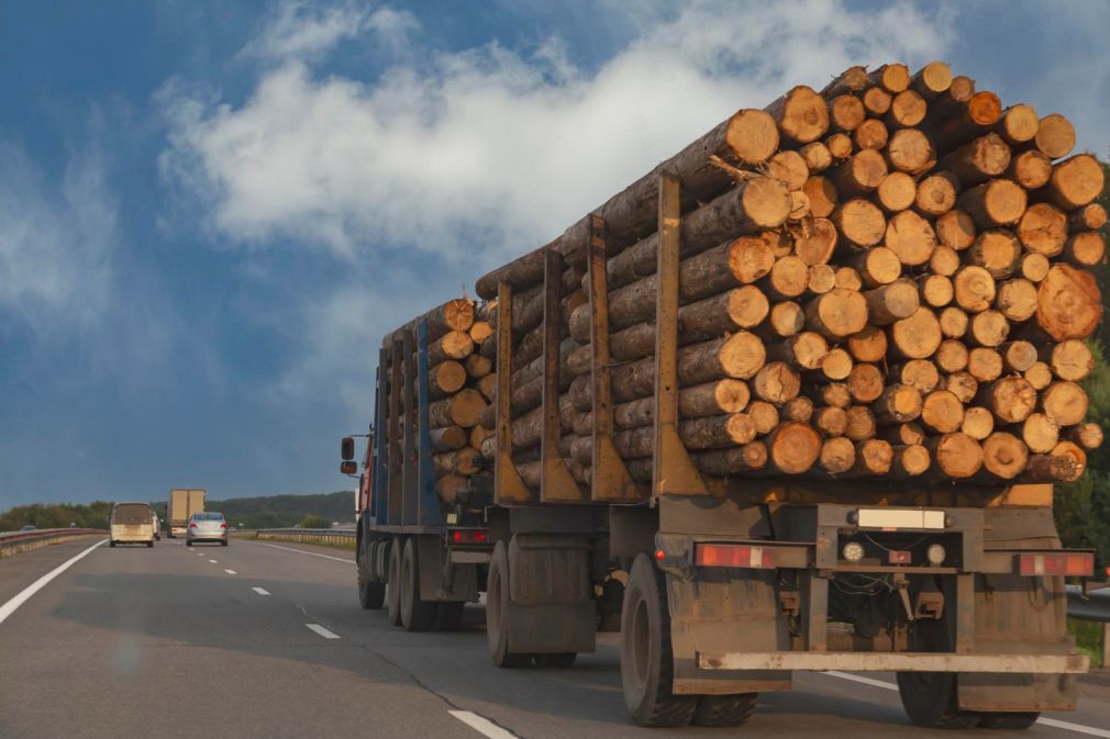 Un camion cu bușteni cuprins de flăcări