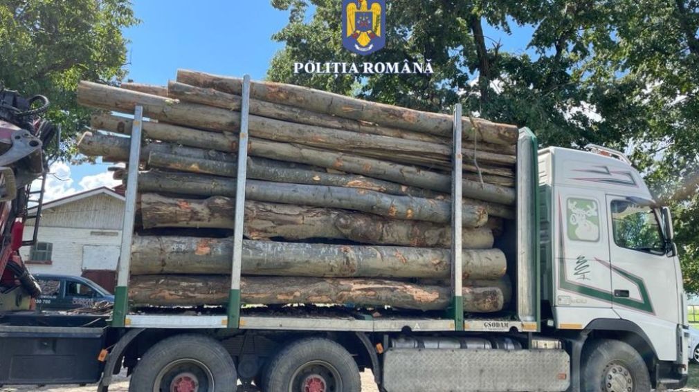 Camion cu lemne, confiscat de poliție