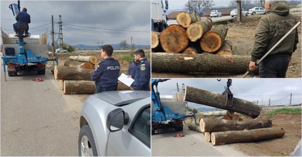 Un camion care ducea prea multe lemne, oprit de poliție