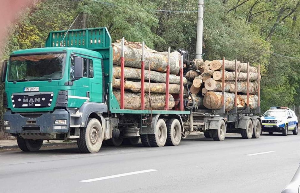 Camion plin cu lemne furate găsit în judeţul Braşov