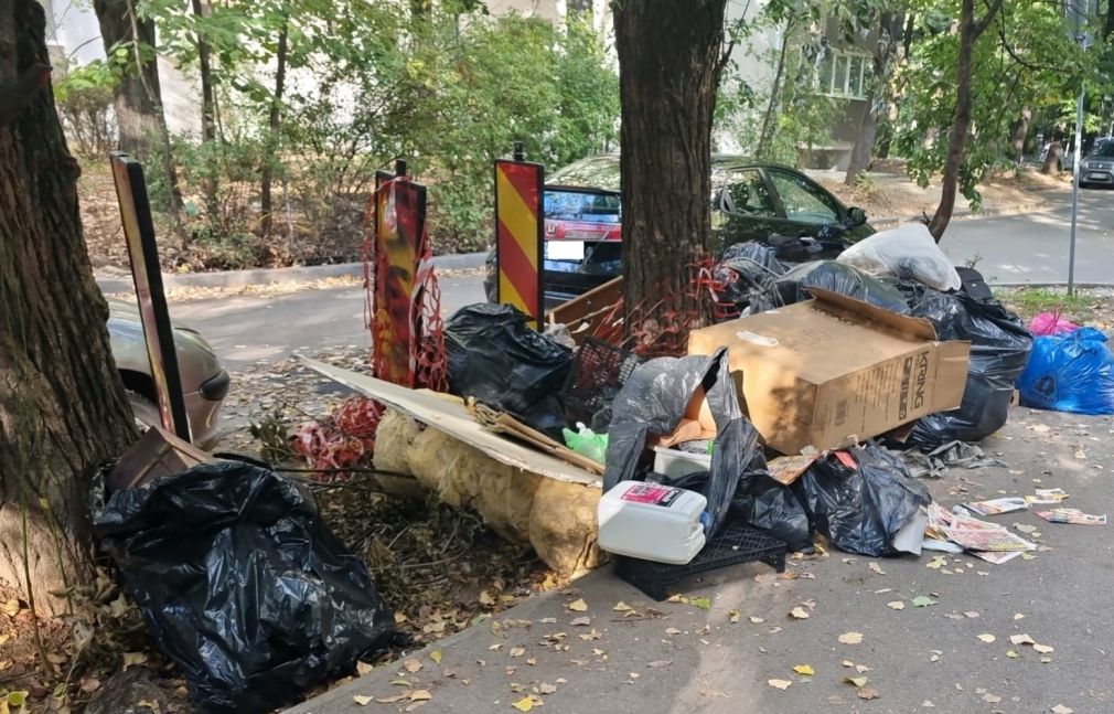 S-au dat jos din camion și au descărcat un morman de gunoaie. În București