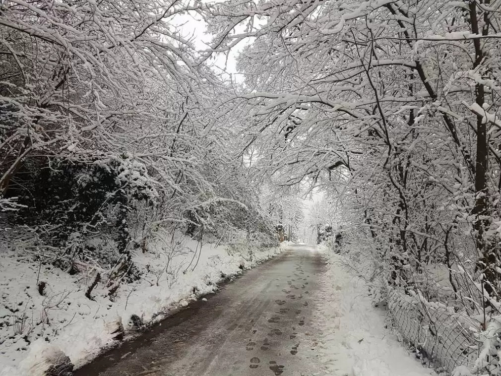 Vine IARNA! Atenție șoferi
