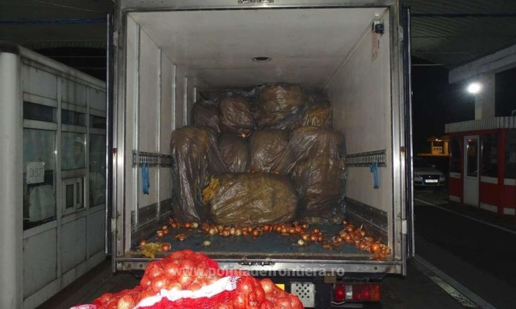 VIDEO. 1,7 tone de tutun, găsit de poliţiştii de frontieră, într-un camion care transporta ceapă