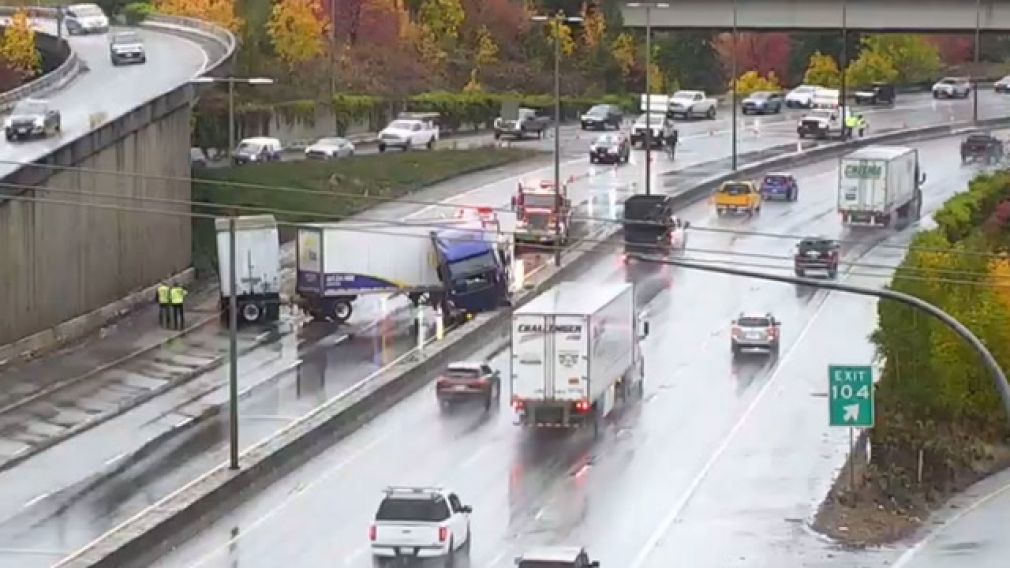 Un camion cu maimuțe grav bolnave s-a răsturnat. Urmarea?