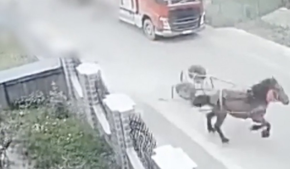VIDEO. Căruță izbită de un camion aflat în depășire, în Pipirig, Neamț