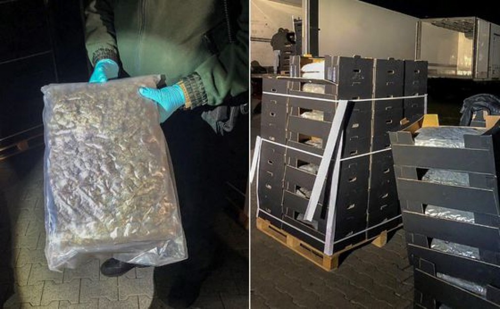 Foto. ȘOFERI de CAMION arestați pentru că transportau DROGURI în lădițe cu fructe