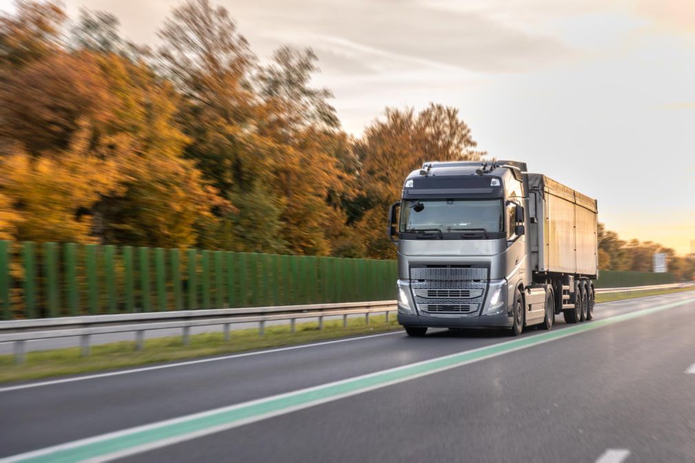 Șofer român de camion a încălcat timpul de condus. Montase un stroboscop ilegal