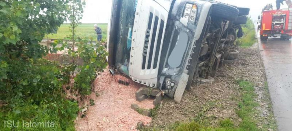 Un camion încărcat cu intestine de găină s-a răsturnat lângă Urziceni