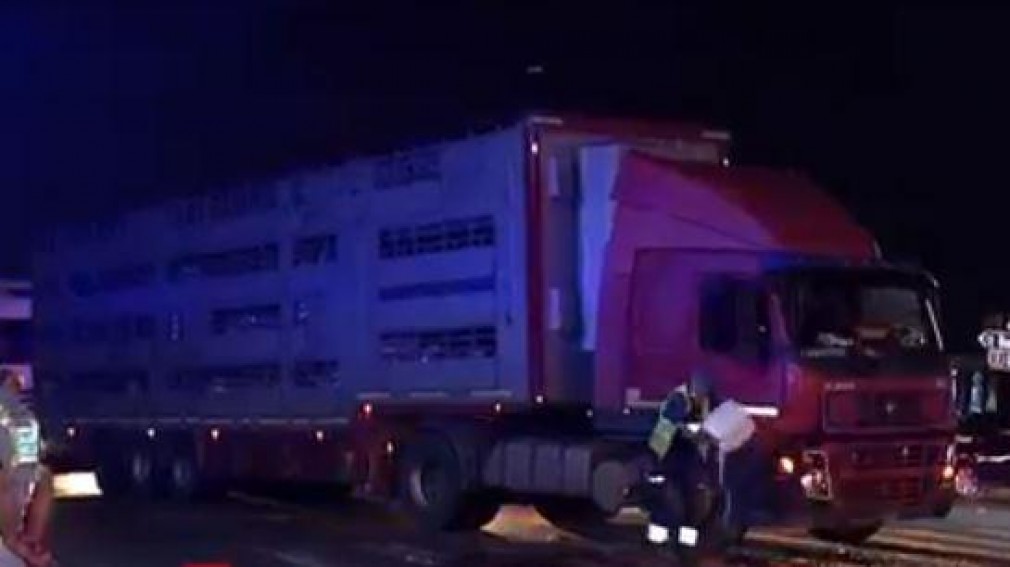 VIDEO. Un camion care transporta sute de oi a fost implicat într-un accident pe DN2