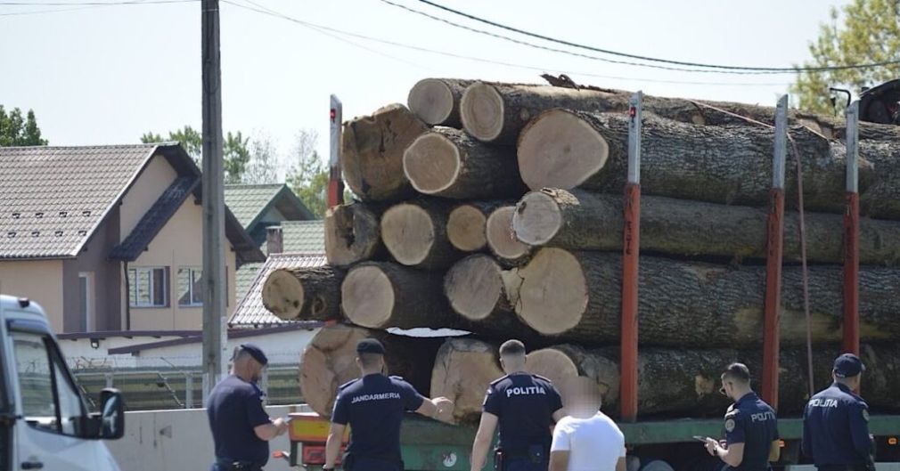 Camioane confiscate, zeci de amenzi, lemne reținute