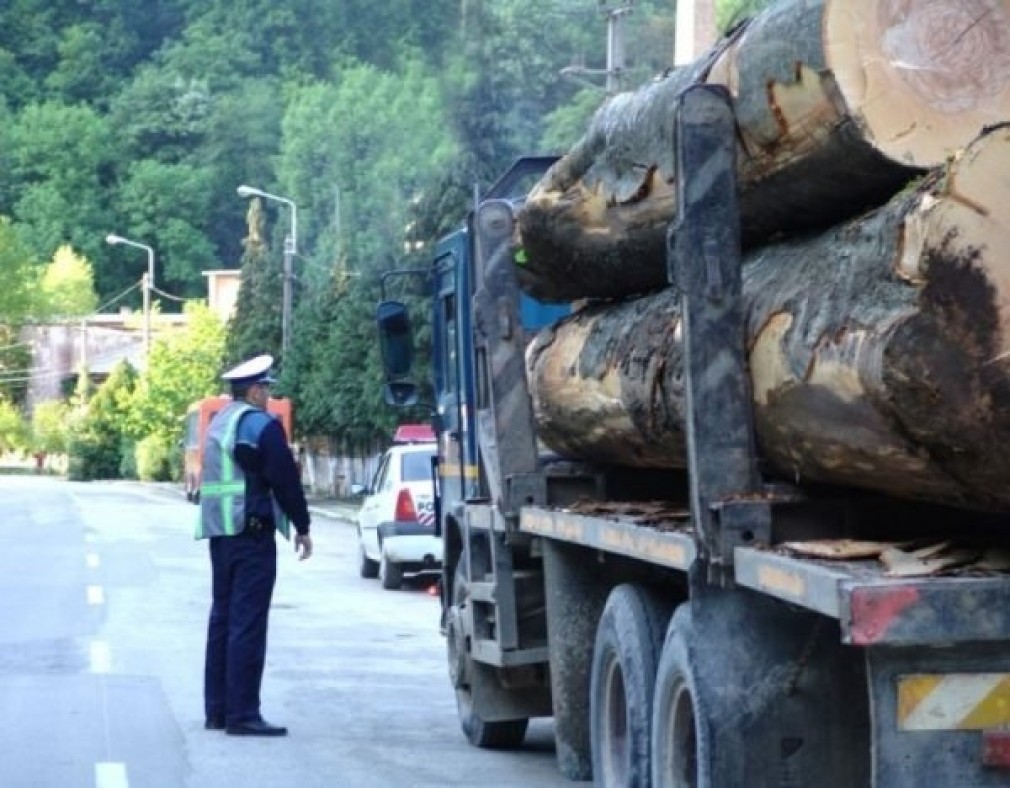Camion, care transporta lemn tăiat ilegal, confiscat