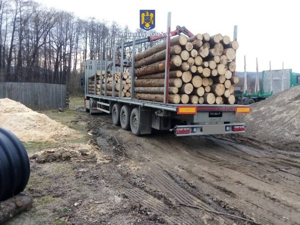 Sute de mii de oameni cer confiscarea camioanelor ce duc ilegal lemne