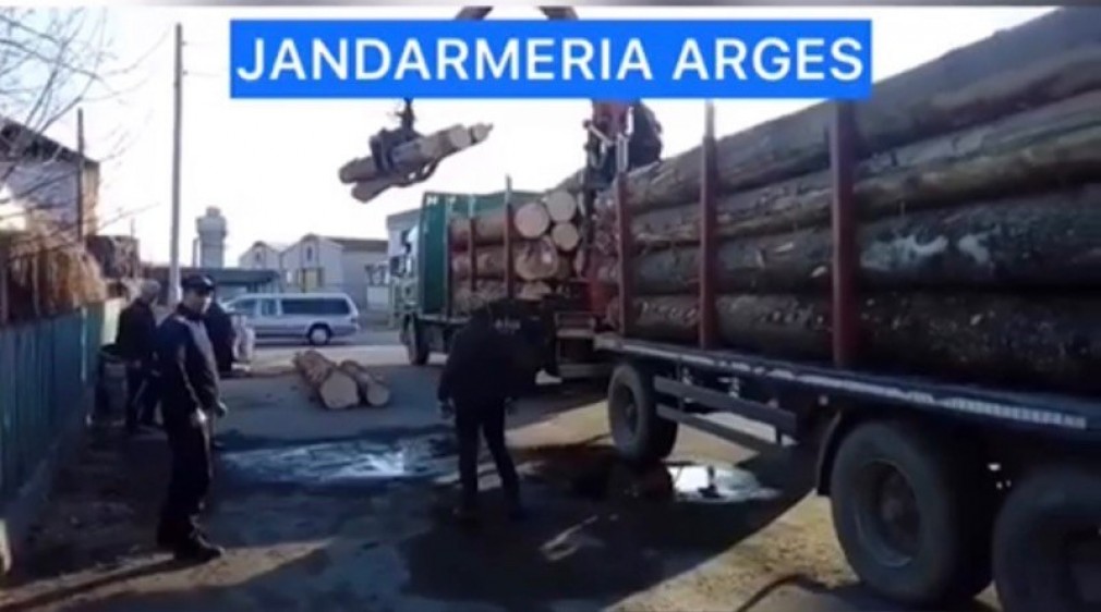 Poliția  a confiscat lemnul dintr-un CAMION
