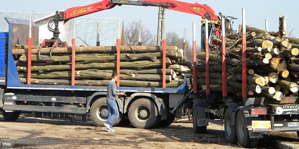 Un șofer s-a lovit grav după ce a căzut de pe un camion cu lemne