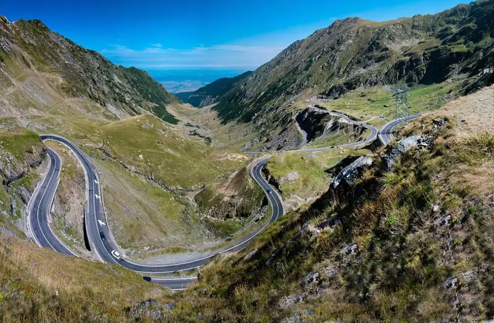 Ursul Van Damme a atacat pe Trasfăgărășan