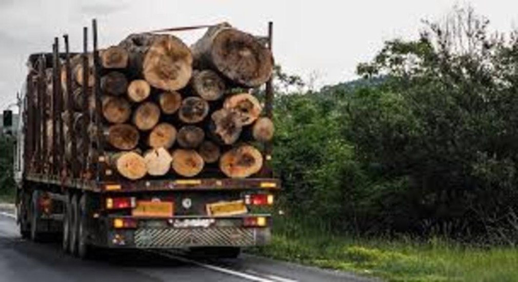 De ce a fost confiscat de poliție un camion cu lemne?