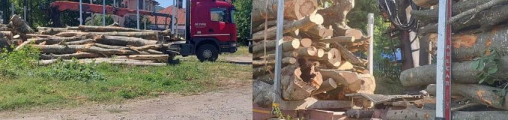 20.000 lei amendă și camion confiscat. Ce transporta?