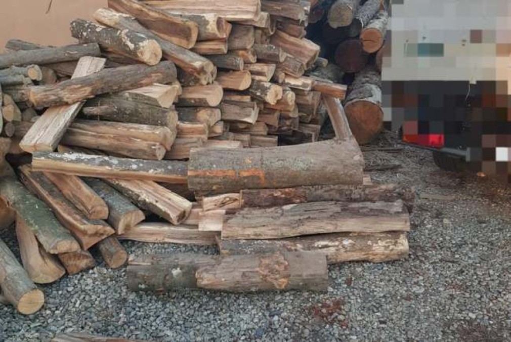 Șofer amendat pentru că transporta un camion de lemne fără acte