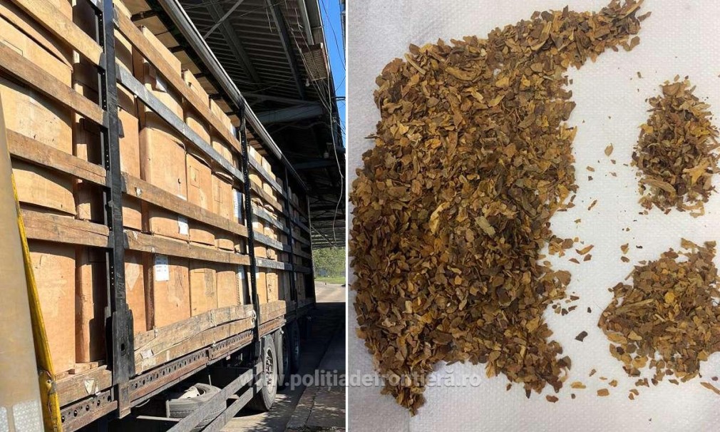14 tone de tutun de contrabandă, în valoare de 1,5 milioane lei, descoperite într-un autocamion