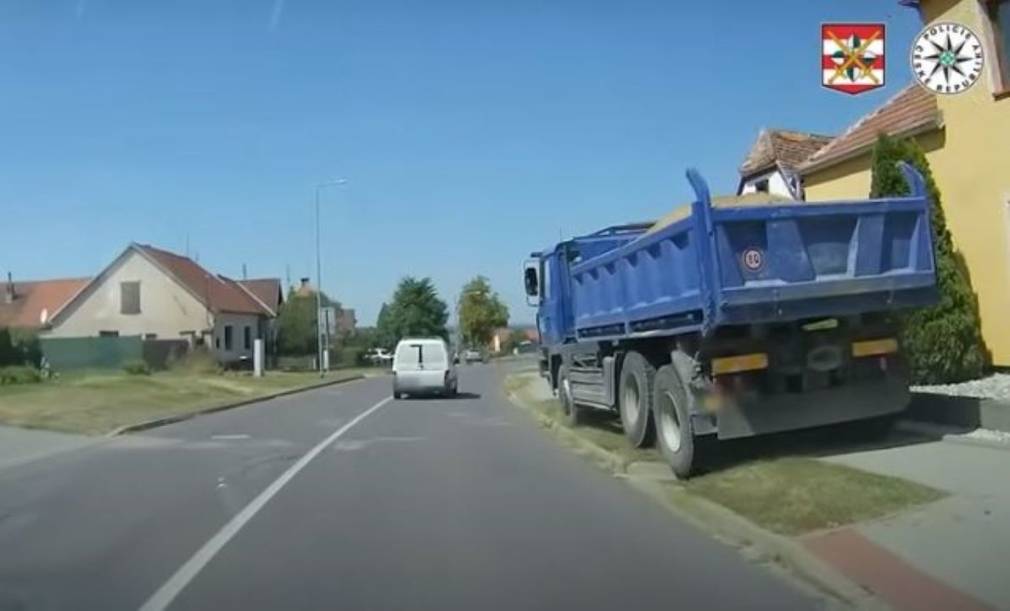 VIDEO Un șofer de camion își pierde cunoștința după ce e mușcat de o insectă