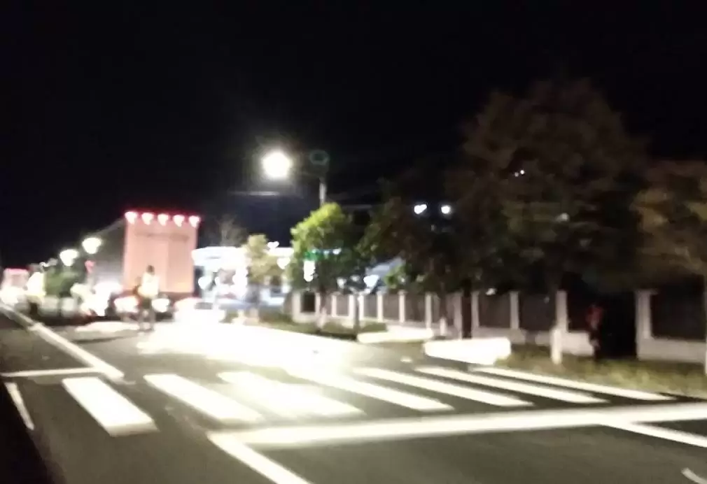 Pieton care traversa strada, lovit de camion. A decedat