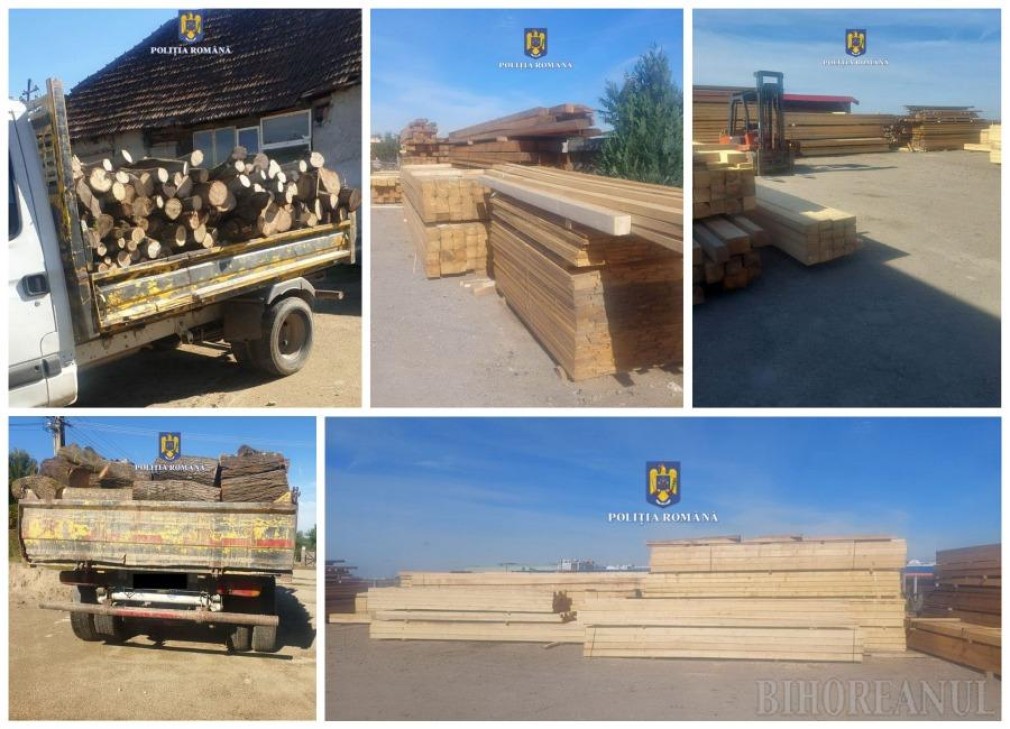 Cinci camioane cu lemne de foc şi cherestea fără acte, confiscate la Oradea