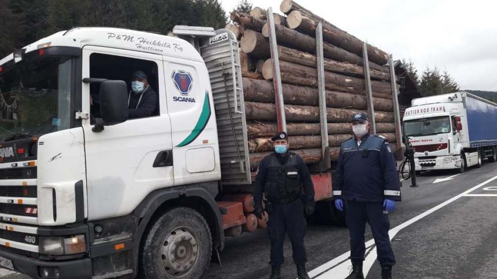 Au fost confiscați 600 metri cubi de lemn, echivalentul a 30 de camioane încărcate până la refuz