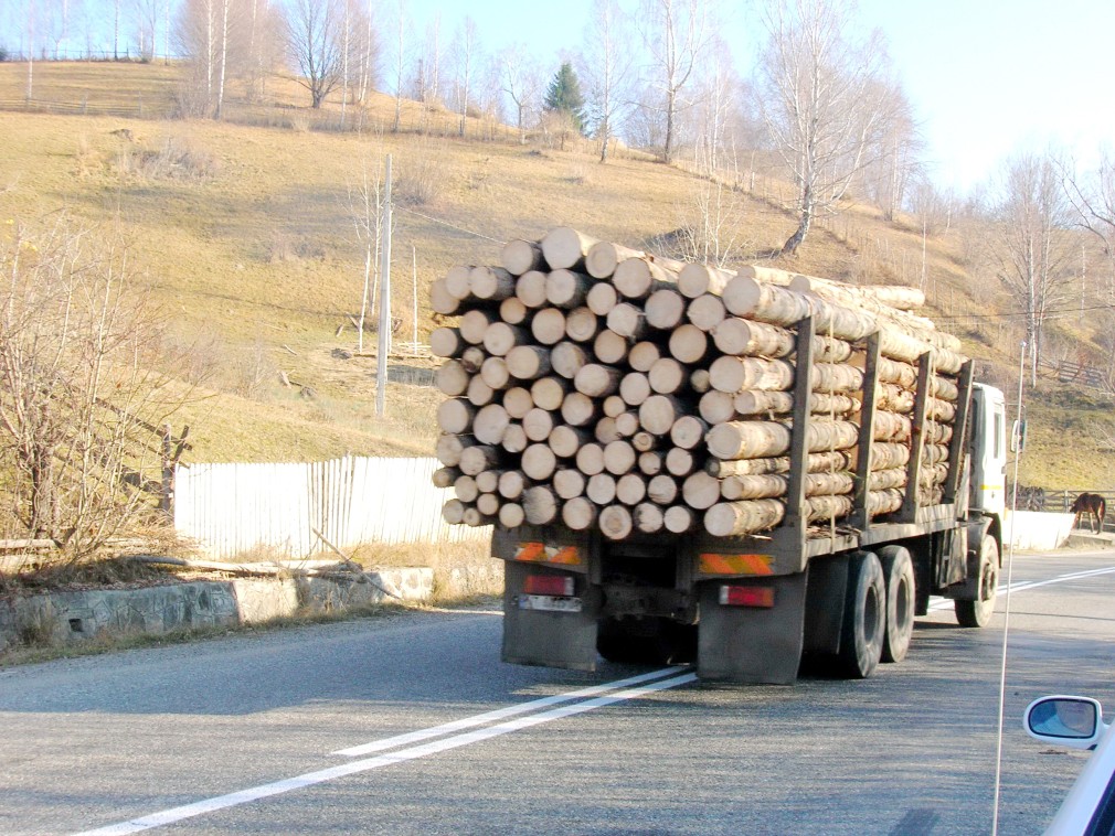 Camion încărcat cu lemn, confiscat în Neamţ