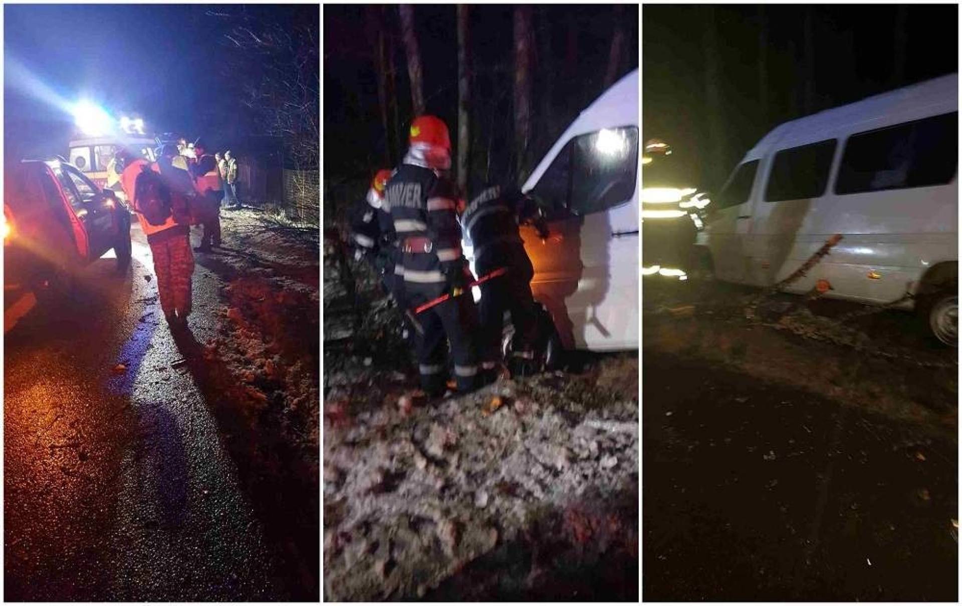 Accident cu copac: s-a prăbuşit peste un microbuz pe A1