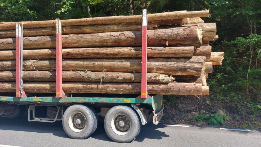Transportau cu camioane mai mult decât era în acte. 43 de rețineri