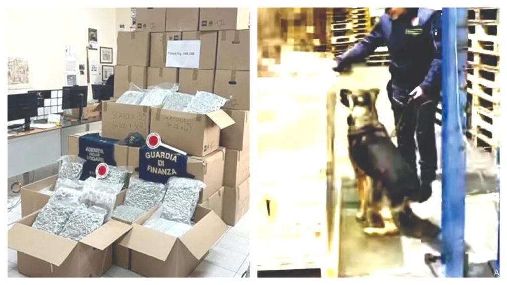 Traficant prins cu 340 kg de droguri în camion. „Mirosea de îți muta nasul”