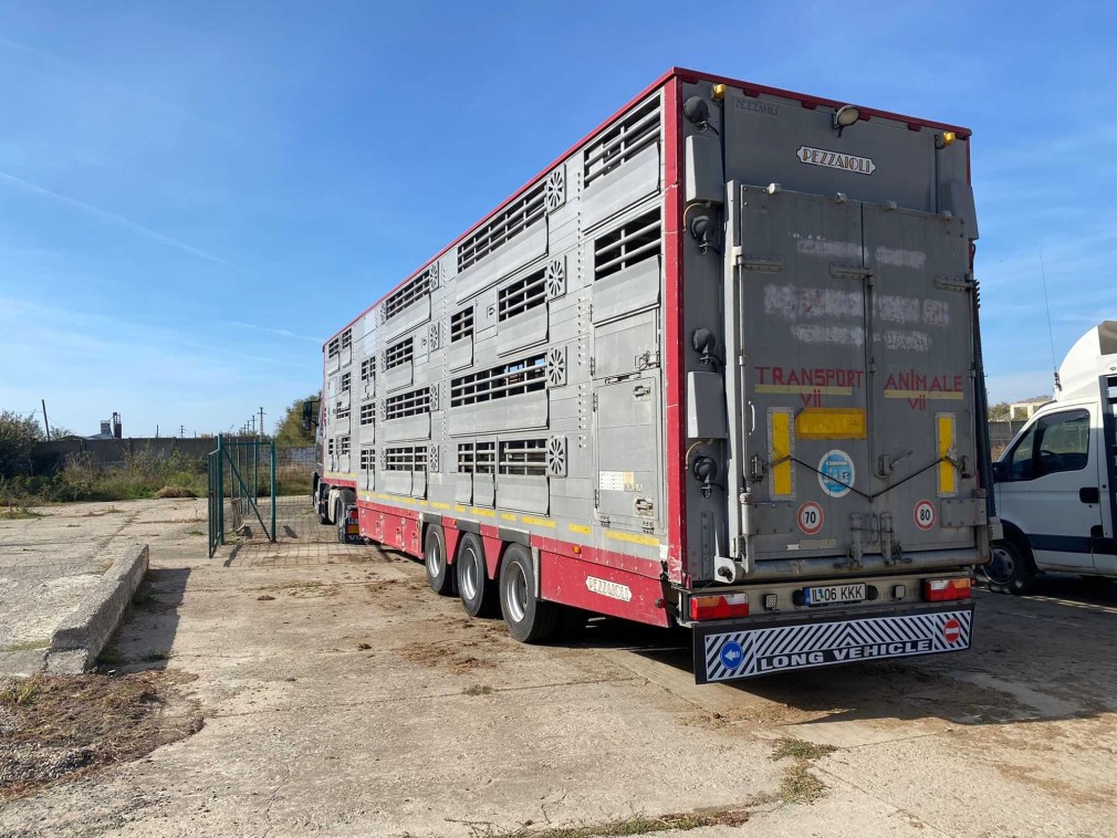 Ministrul Transporturilor anunță că România se opune interzicerii transportului de animale