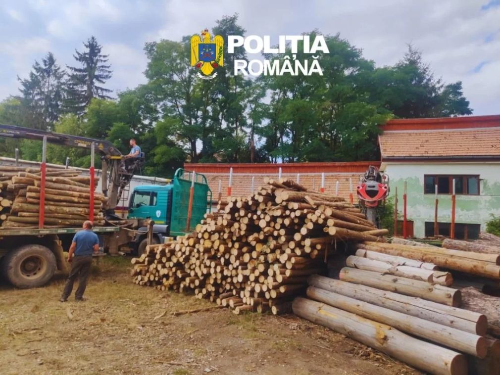 Transport ilegal oprit de polițiști. Ce transporta camionul?