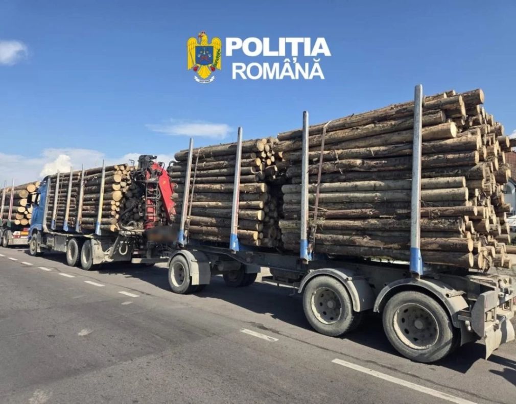 Patru camioane încărcate cu lemne, blocate de polițiști