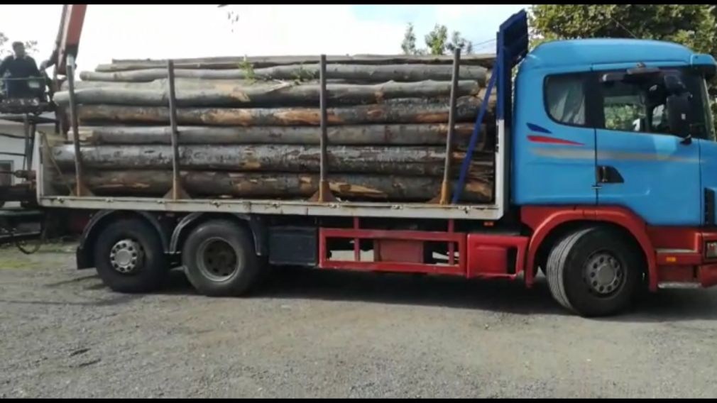 Camion folosit de Clanul Cofenilor să transporte lemn pentru Schweighofer, prins în flagrant