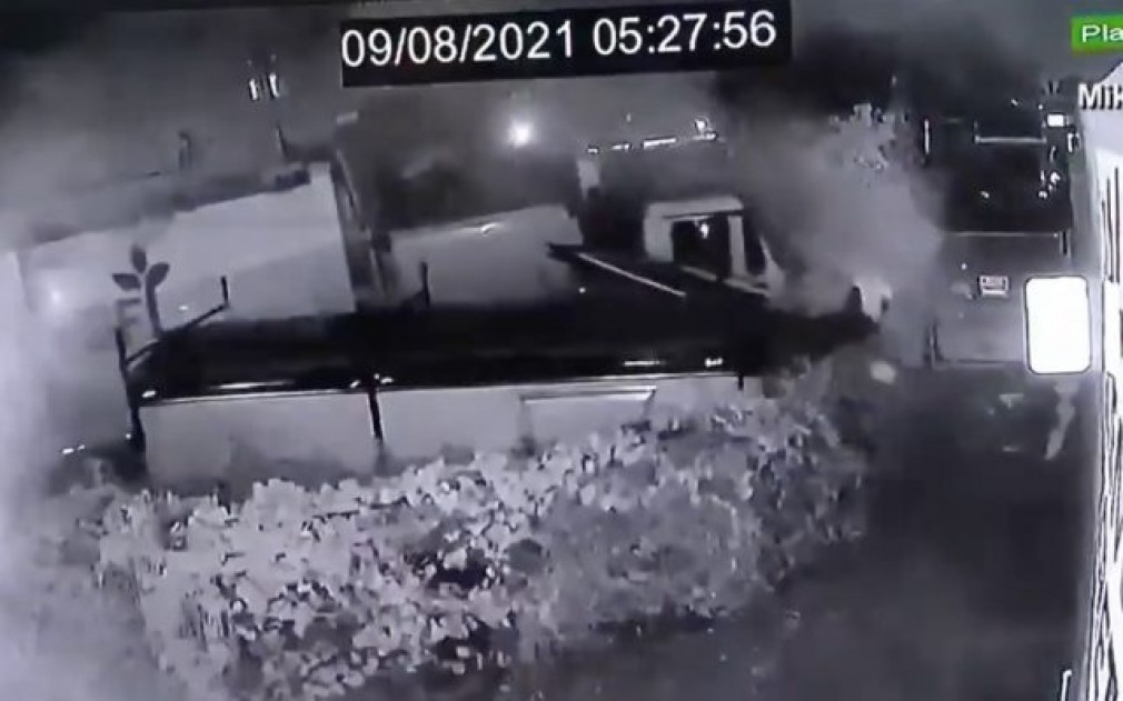 VIDEO Plantație de canabis descoperită după ce un șofer a intrat cu un camion în locație