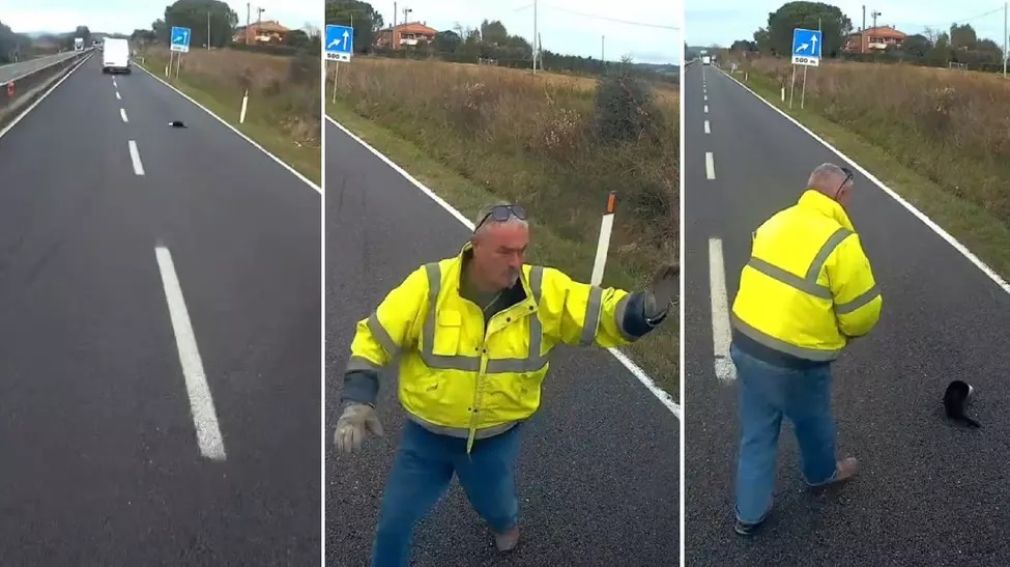 VIDEO Un șofer de camion a blocat traficul ca să salveze un pisoi oprit în mijlocul drumului