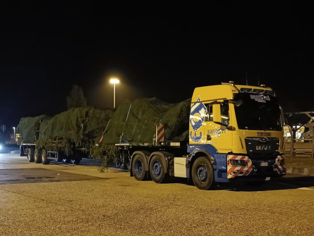 VIDEO. Un camion MAN a transportat bradul de Crăciun pentru Papă