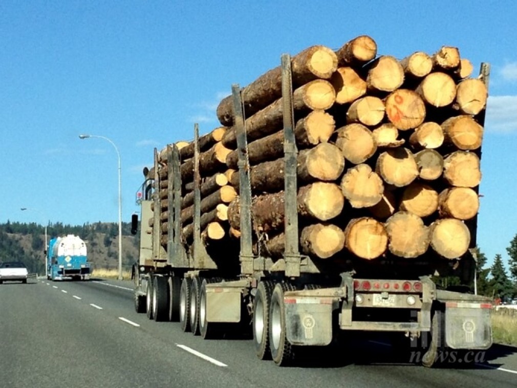 8.000 lei amendă pentru un camion supraîncărcat cu lemne