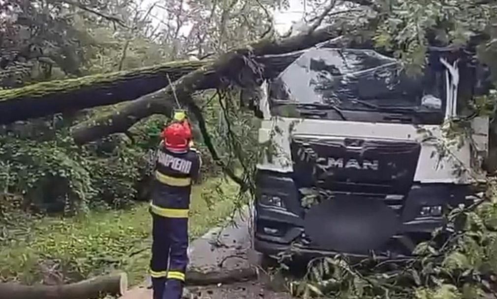VIDEO Doi arbori au căzut peste un camion