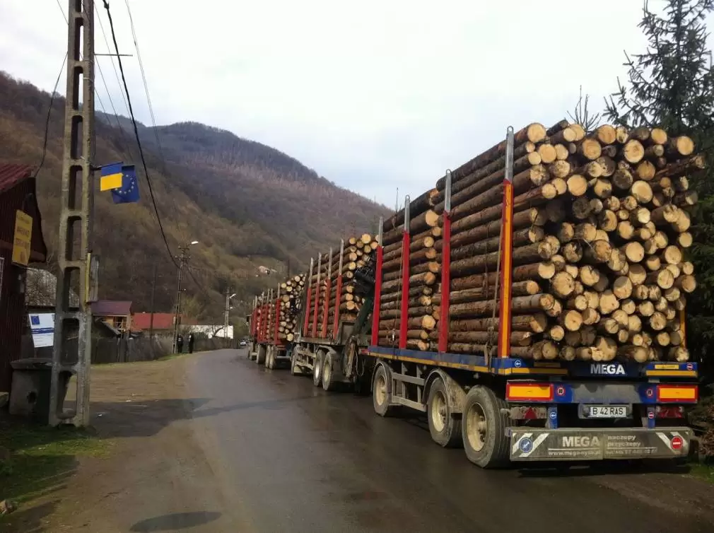 Un CAMION a pierdut lemnele care au căzut pe o mașină