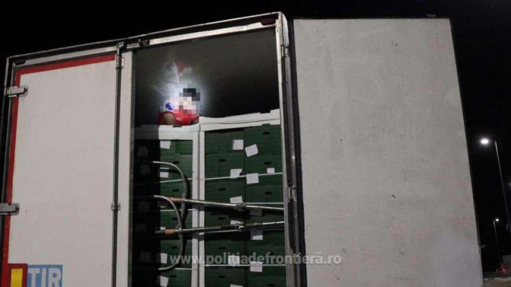 Cetățean turc descoperit ascuns printre pepeni într-un camion verificat la Calafat |