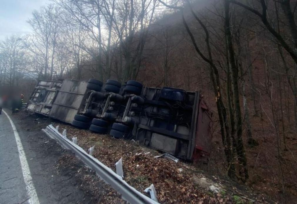 Un camion cu porci a ieșit în decor