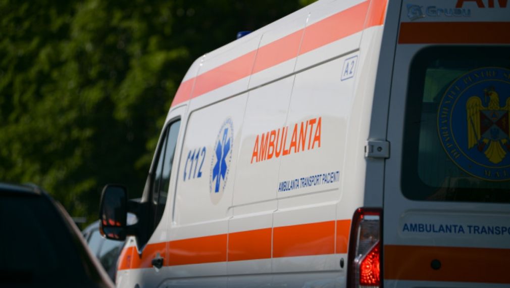Un copac a căzut peste un camion. Cum se simte șoferul?