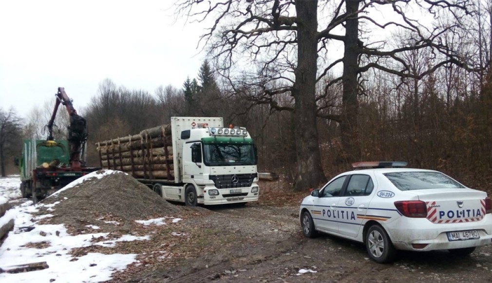 Camion de 35.000 de euro, confiscat cu tot cu 35 de mc lemn transportat ilegal