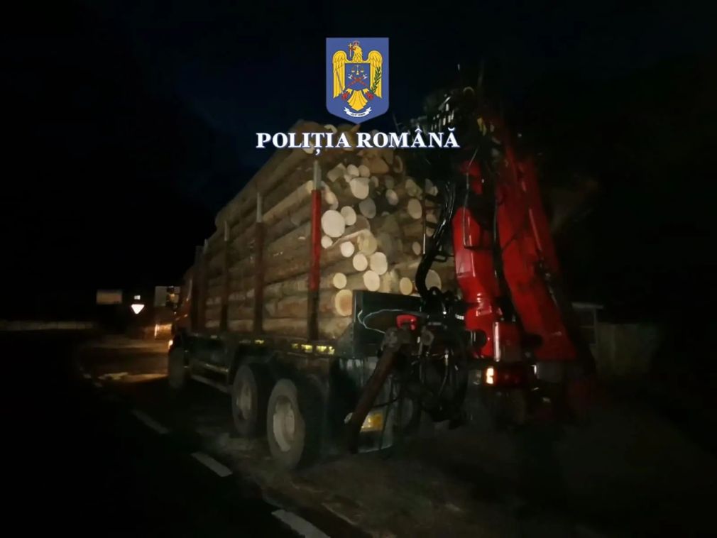 Un șofer a „cocoșat” camionul cu lemne. Poliția a intervenit